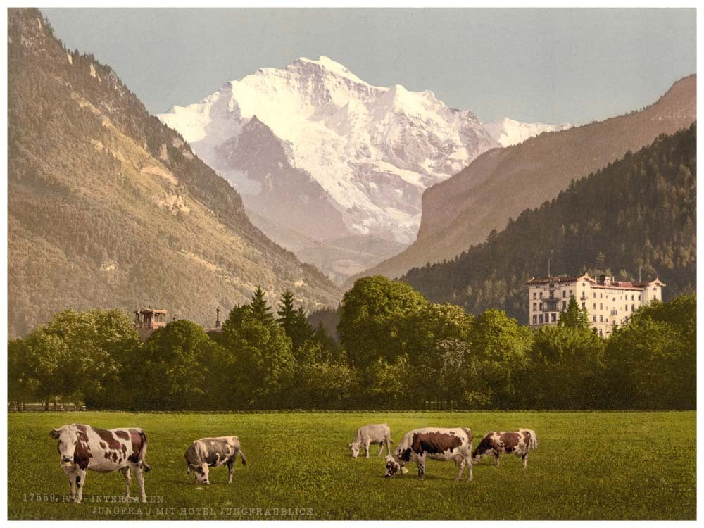 Jungfrau and Jungfraublick Hotel, Bernese Oberland, Switzerland 0400-4866