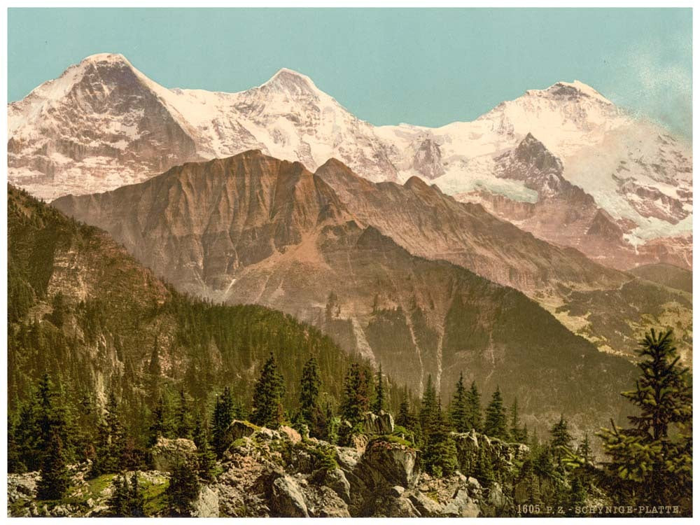 Schynige Platte, Eiger, Monch and Jungfrau, Bernese Oberland, Switzerland 0400-4911