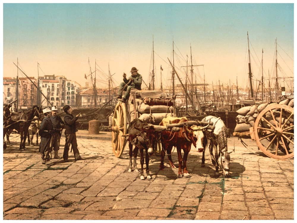 The wharf, Naples, Italy 0400-5483